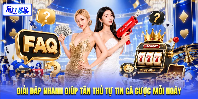 Giải đáp nhanh giúp tân thủ tự tin cá cược mỗi ngày