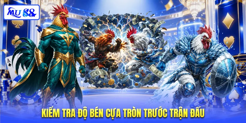 Kiểm tra độ bén cựa tròn trước trận đấu