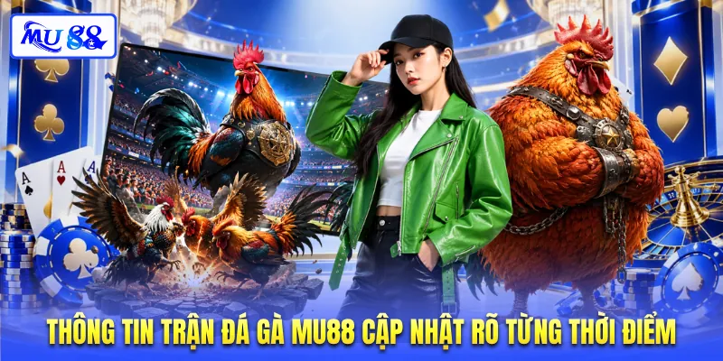 Thông tin trận đá gà MU88 cập nhật rõ từng thời điểm